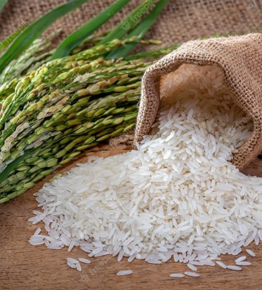 Exploring the World of Non-Basmati Rice